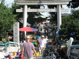 町田天満宮がらくた骨董市