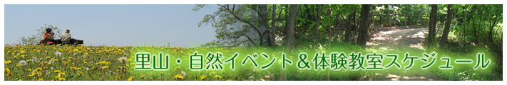 町田市文化施設　企画展スケジュール