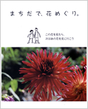 まちだ花めぐり